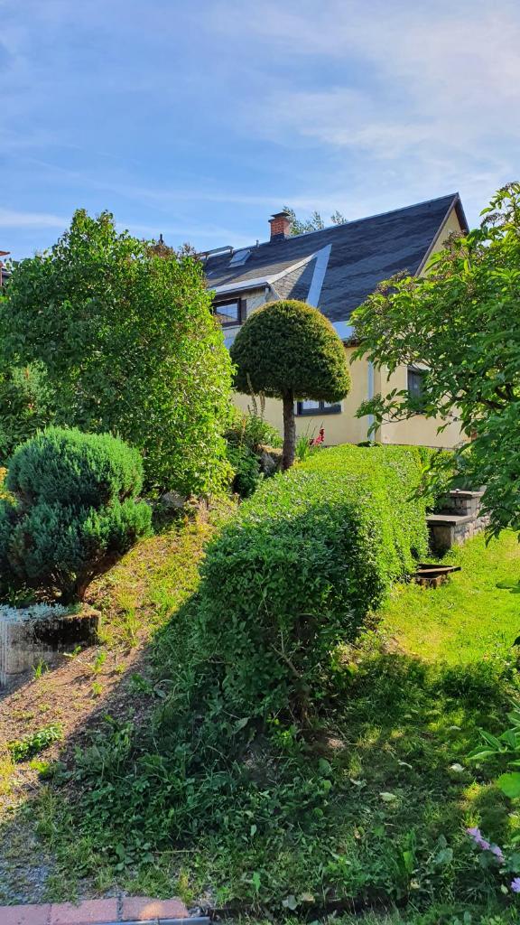 Ferienhaus Bringfriede photo 3