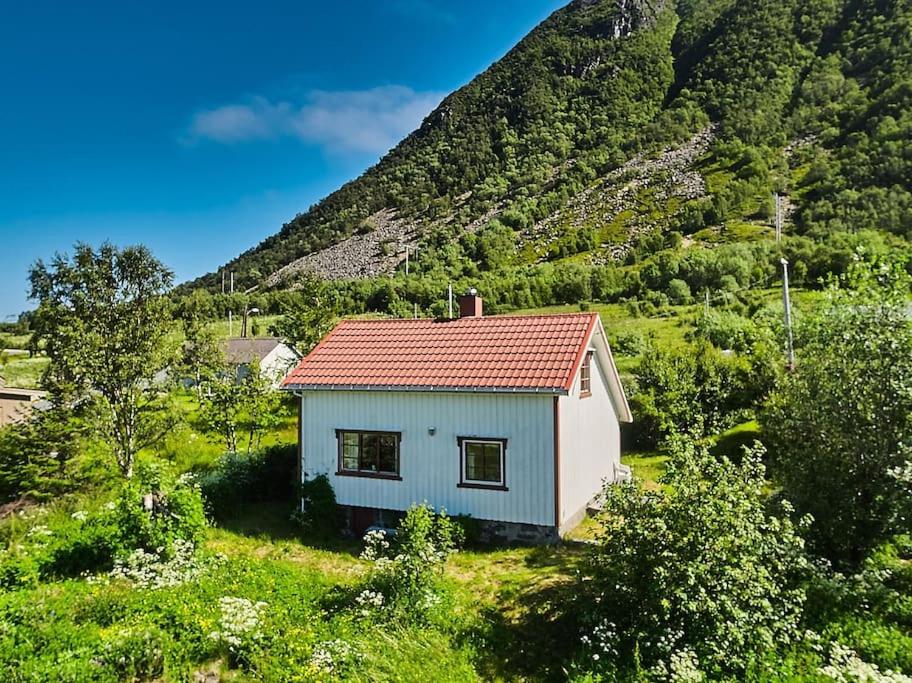 Koselig hus med strandlinje photo 2