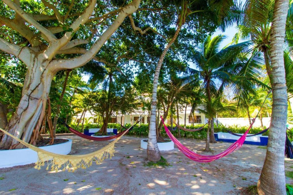 Hotel Cocoliso Island Resort photo 3