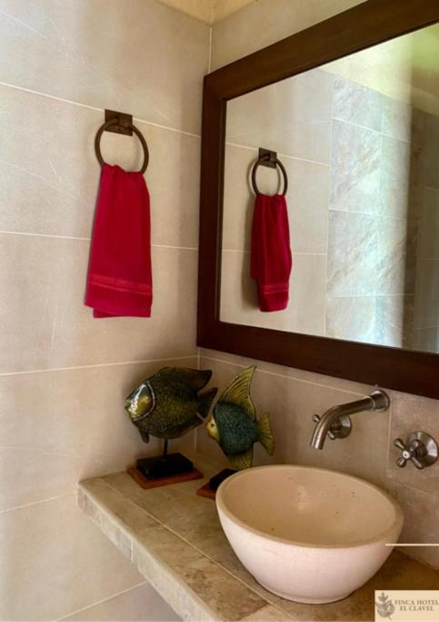 Finca Hotel El Clavel photo 1