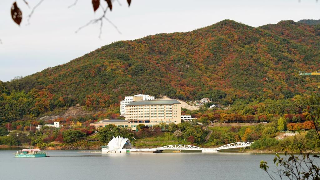 Cheongpung Resort photo 3