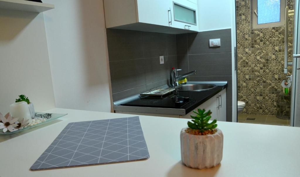 IVA studio-apartment photo 4
