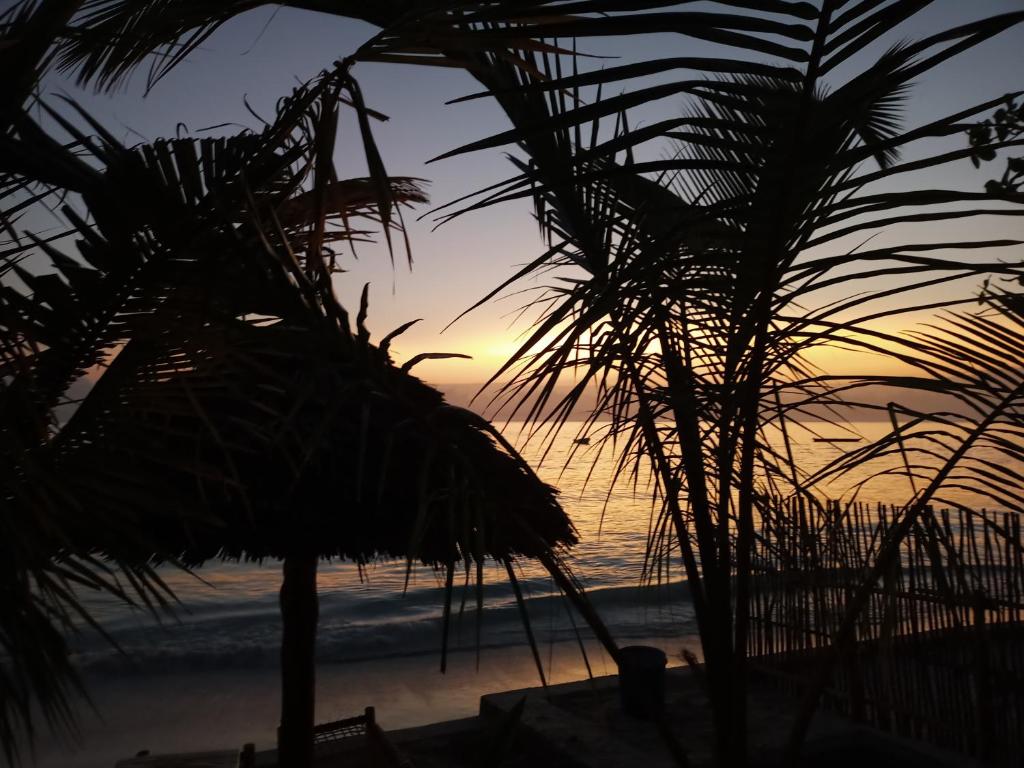A Villa Sunshine house Zanzibar photo 4