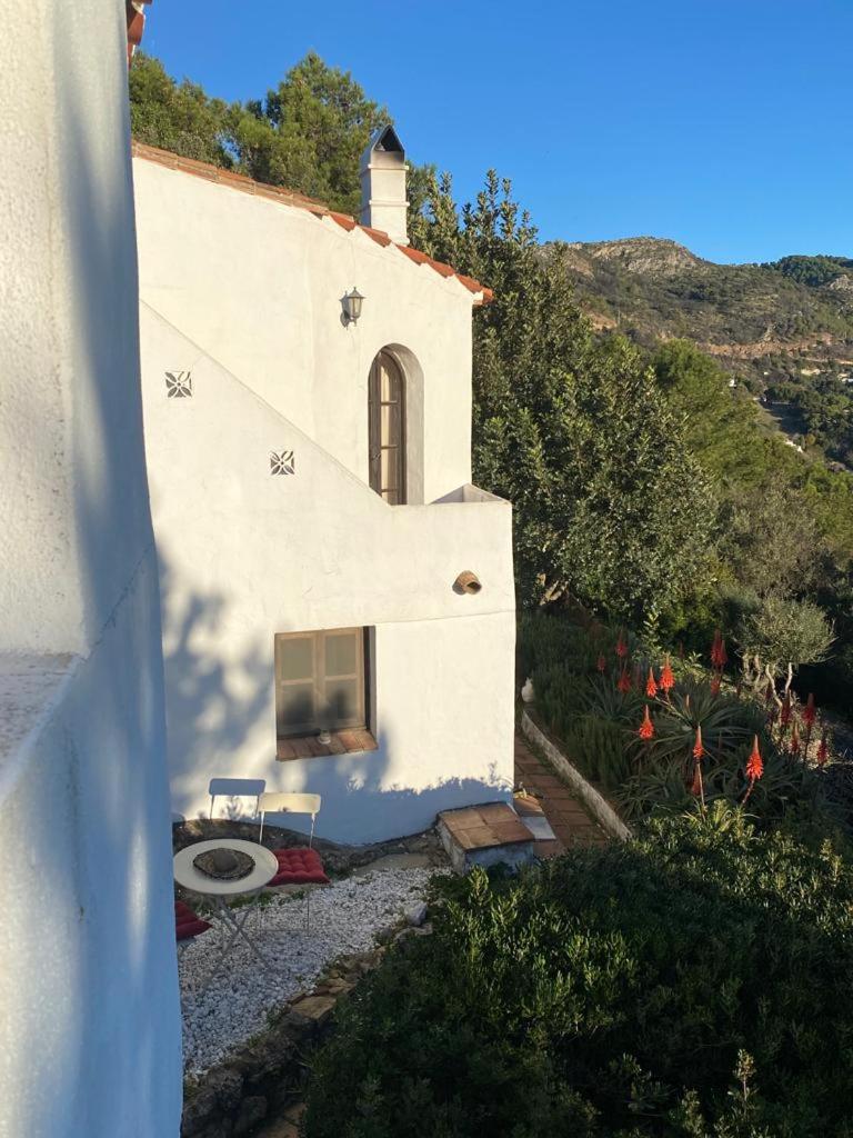 Casa Mariposa photo 4