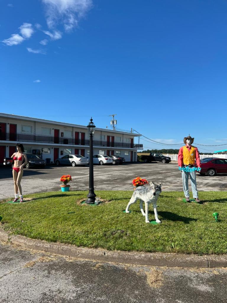 Motel Boutique by Wolf Inn photo 4