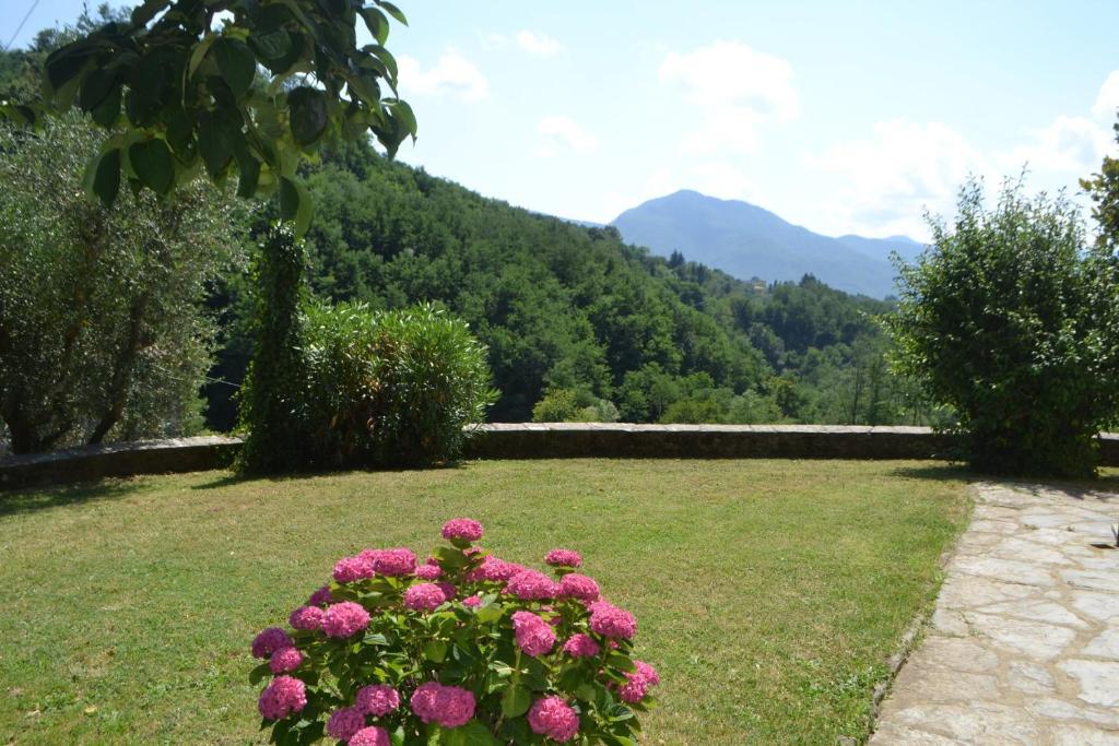 La Limonaia di Casagrande photo 3