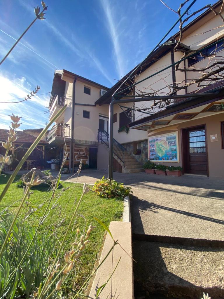Vila Mišur photo 3
