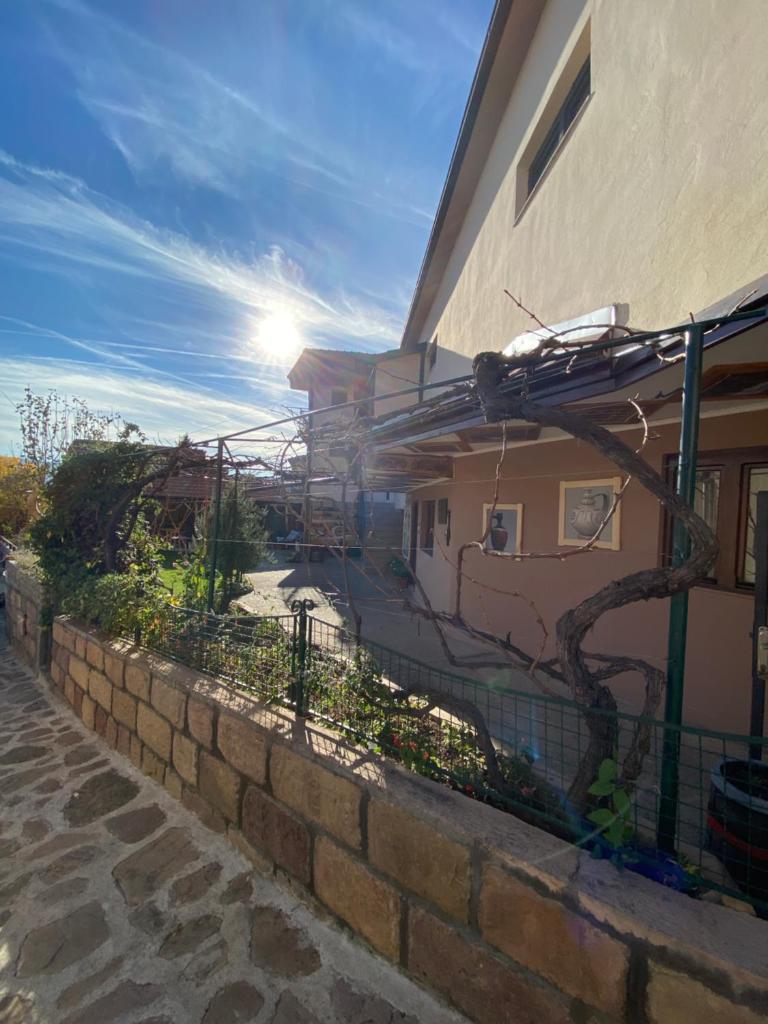 Vila Mišur photo 2
