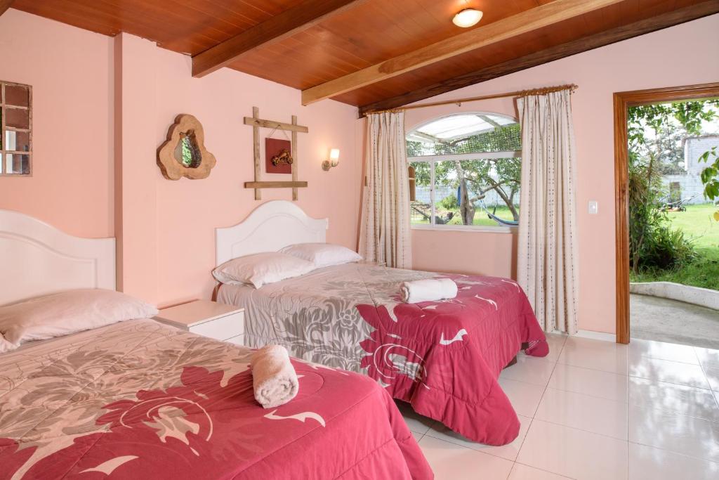 Casa Elalu photo 2