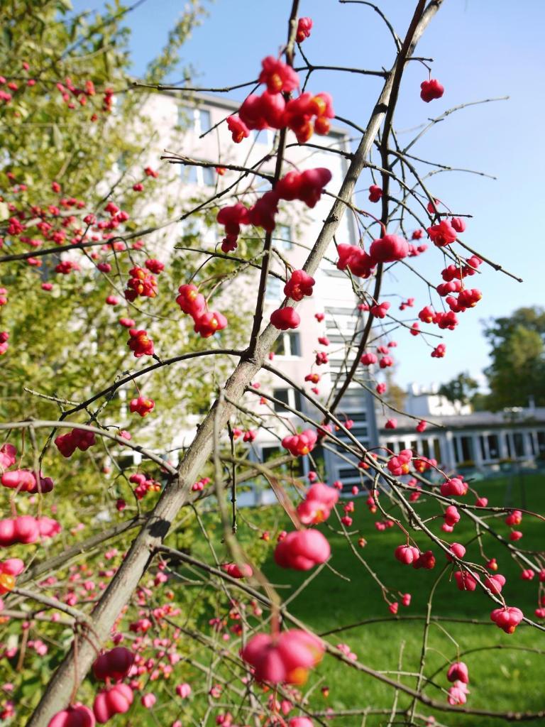 Номер (Кровать в 20-местном общем номере для мужчин и женщин), Hostel Hütteldorf