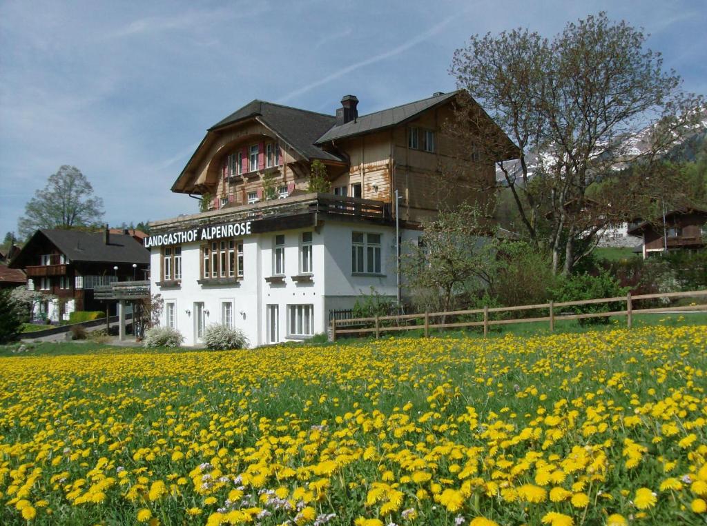 Hotel Alpenrose beim Ballenberg photo 4