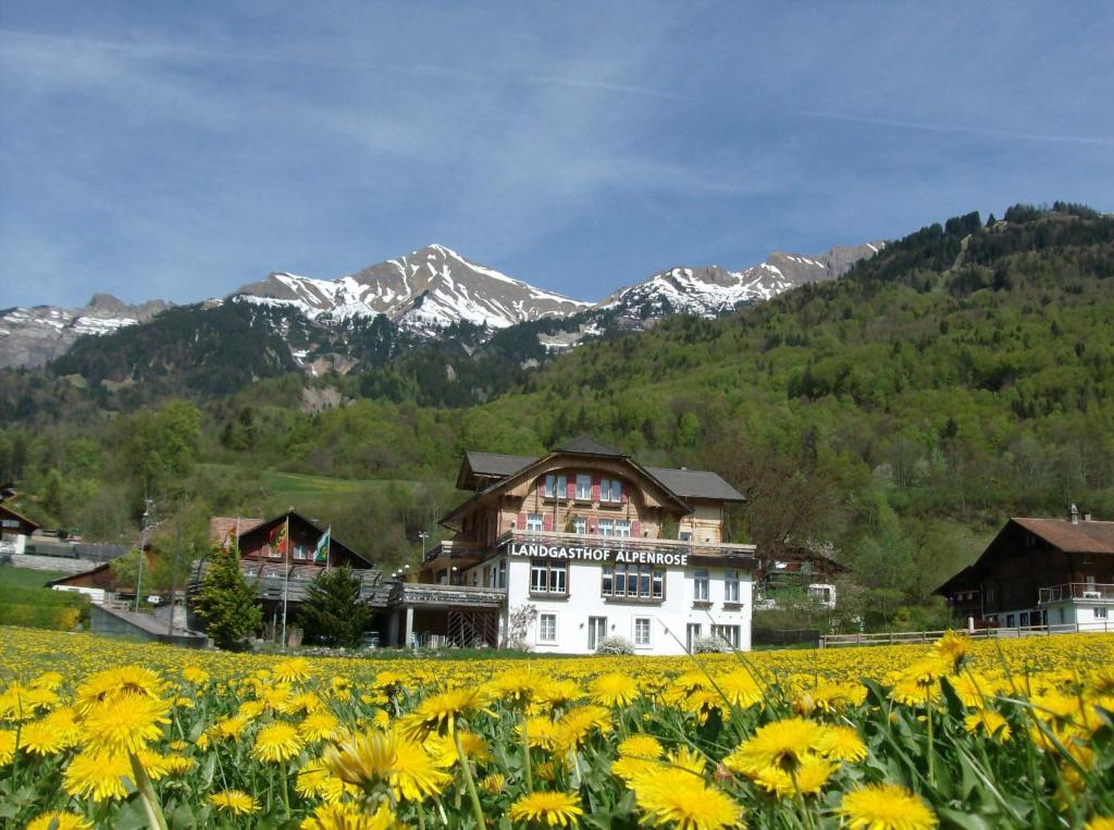 Hotel Alpenrose beim Ballenberg photo 2