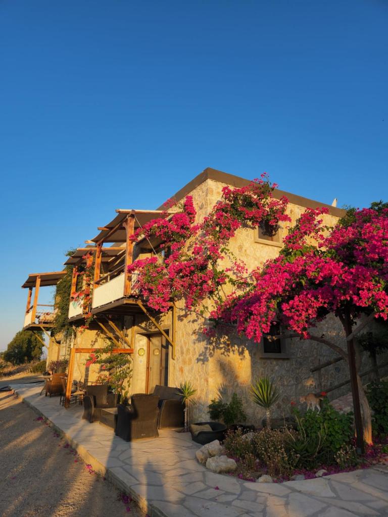 Eco Farm Boutique Hotel photo 1