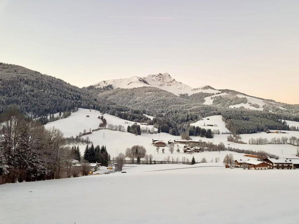 Sunnseit Lodge - Kitzbüheler Alpen photo 4