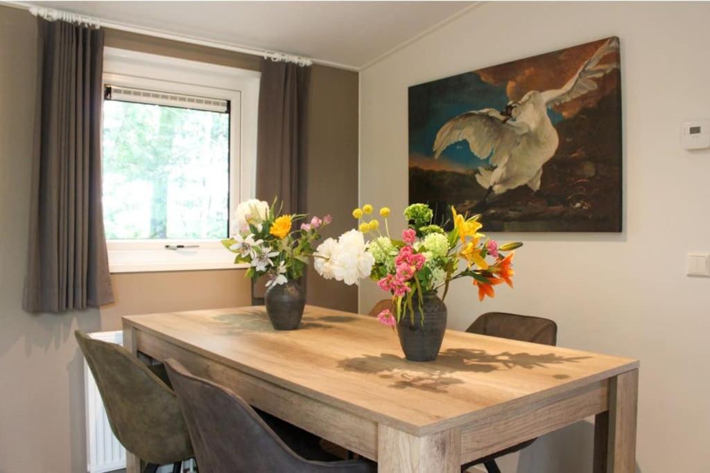 Vakantiehuis Fochteloërveen photo 3