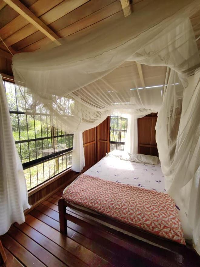 Albertico Jungle House photo 1
