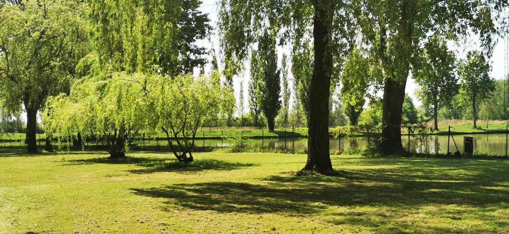 L'Oasis des Dombes photo 1
