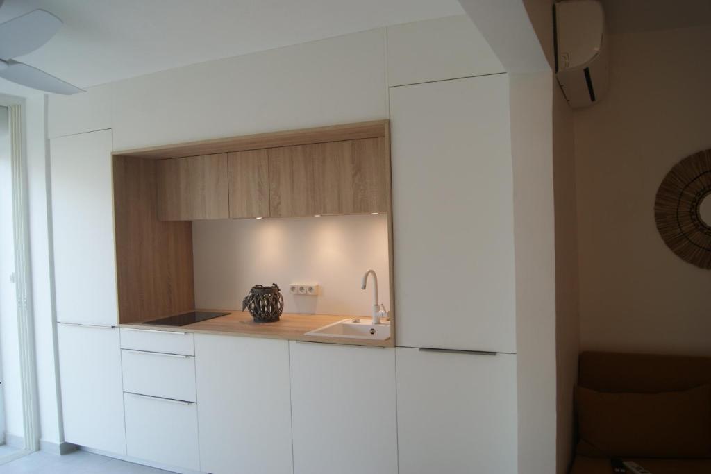 Lagoon Terrace grand studio photo 2