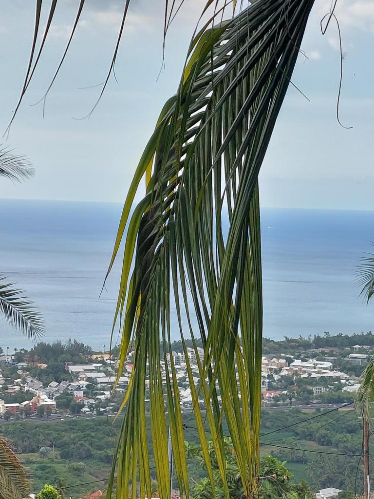 Nidamour, un logement fait pour vous photo 3