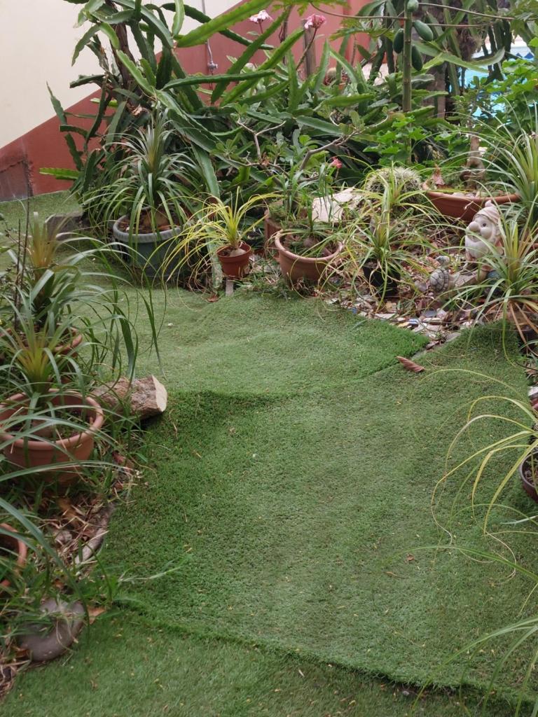 Nidamour, un logement fait pour vous photo 2