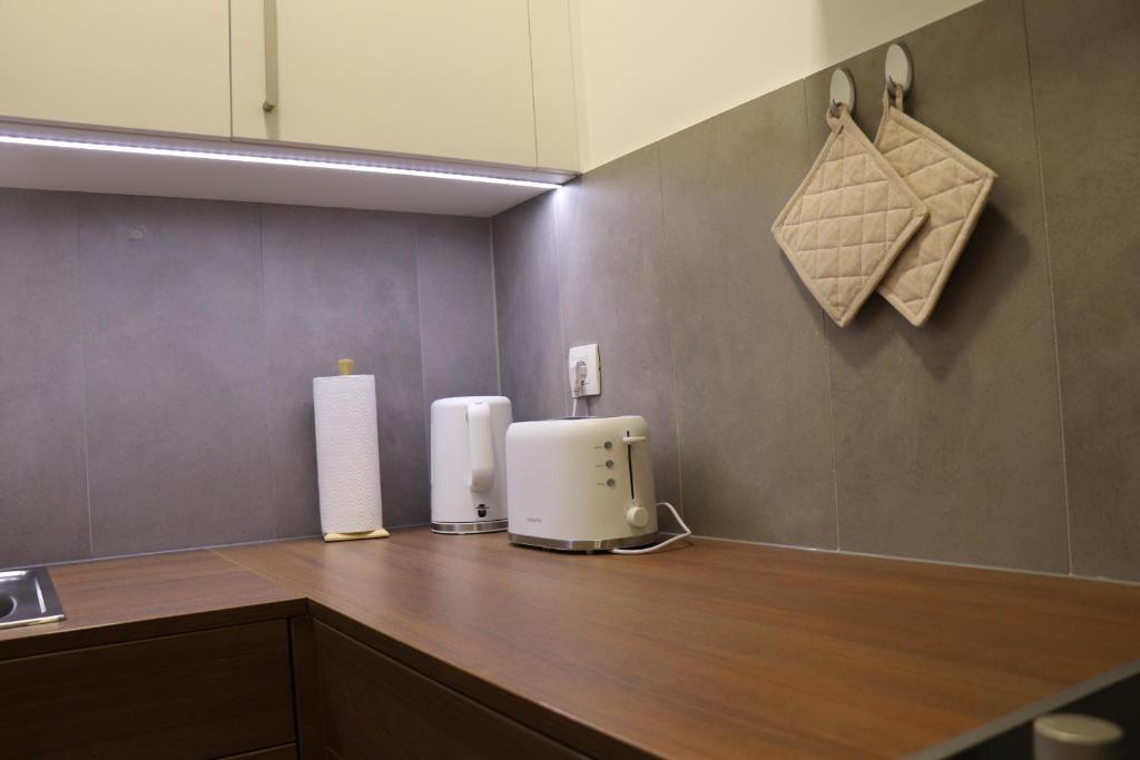 Studio apartma Terme Ptuj photo 4