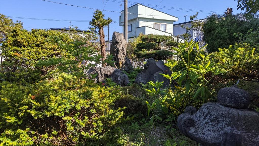Showai photo 4