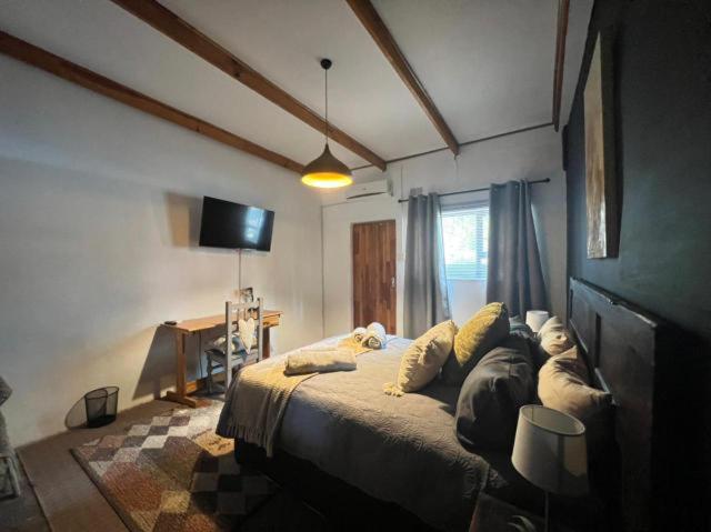 Krulkop photo 1