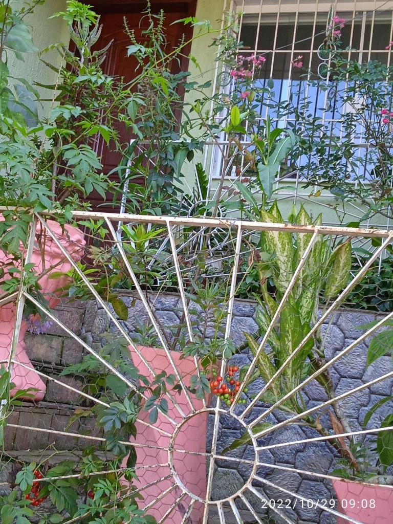 Pertinho da Mata photo 3