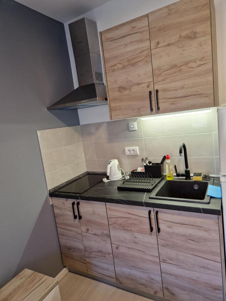 Sofia apartment photo 3