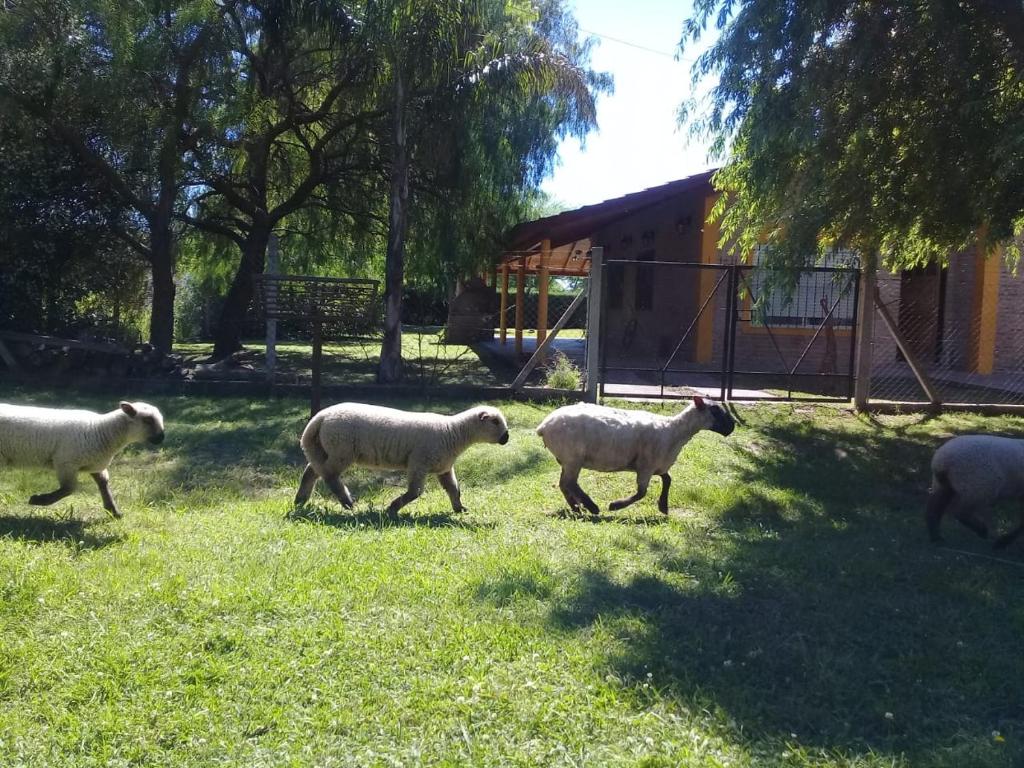La Villarense photo 3