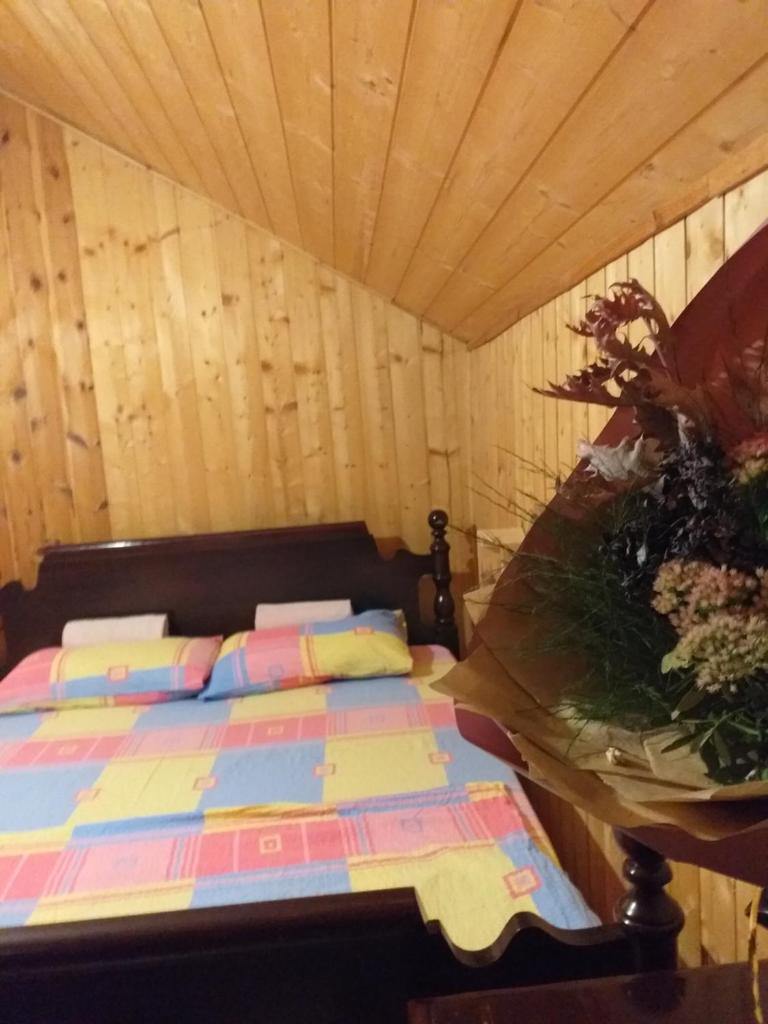 Vikend kuća Fruška Gora photo 3