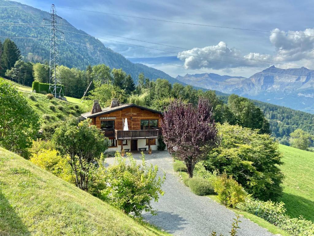 Chalet Pres des Cimes ski-in ski-out photo 4