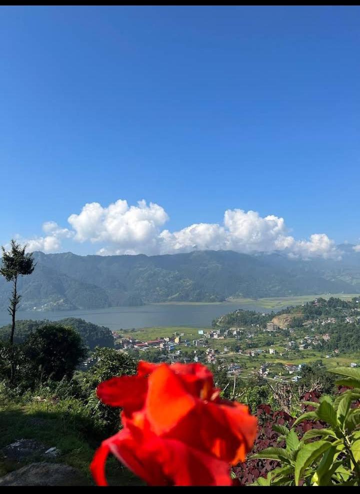 Into The Wild Pokhara photo 2