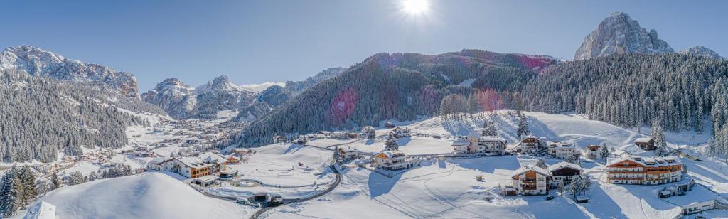 Hotel Chalet Dlaces photo 3