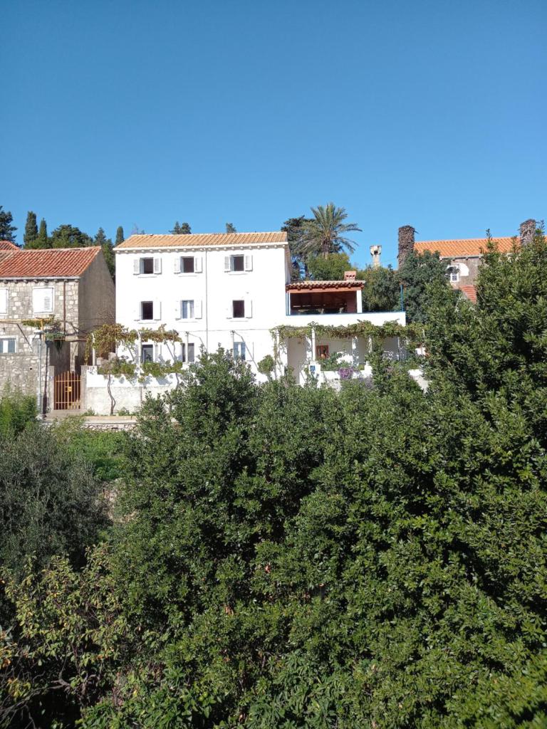 Villa Sea Dream Koločep photo 2