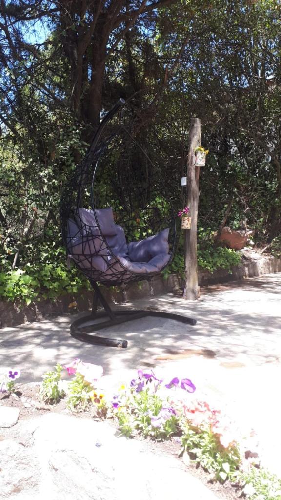 Cucu Haus Hostel photo 3