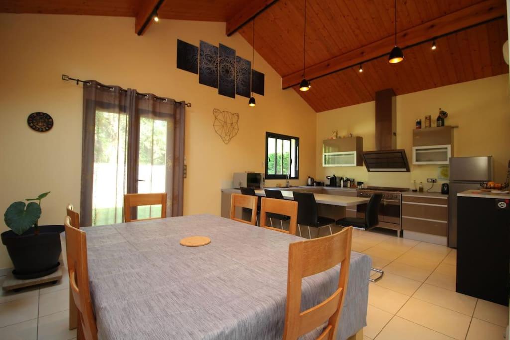 Grande villa contemporaine proche randonnée et ski photo 4