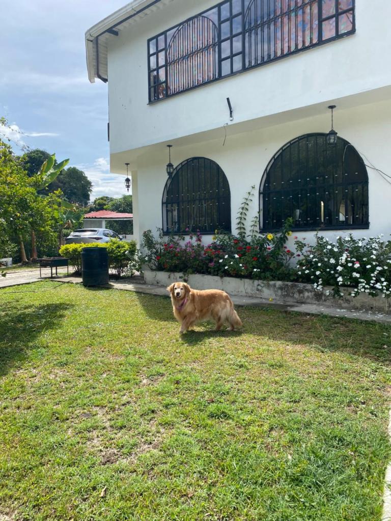 Villa Gabritali photo 1
