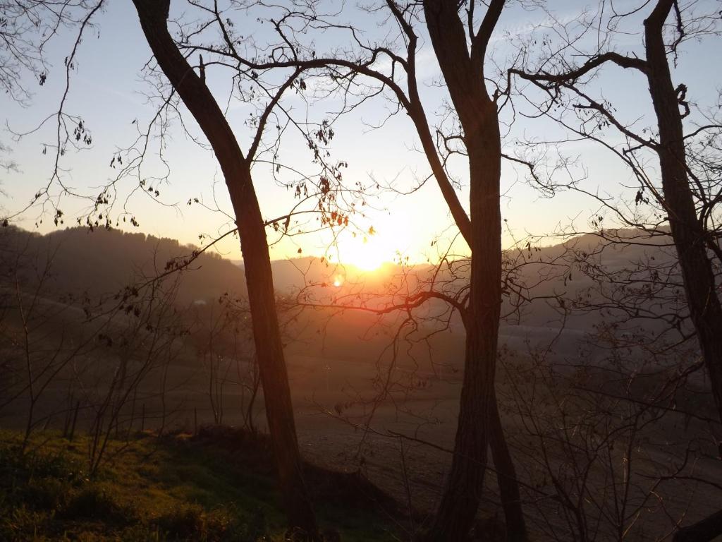 Piccolo Gesto d'Affetto photo 4