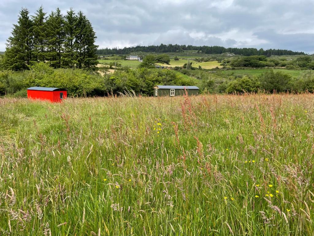 Stepping Stones Glamping ‘the olive’ photo 2