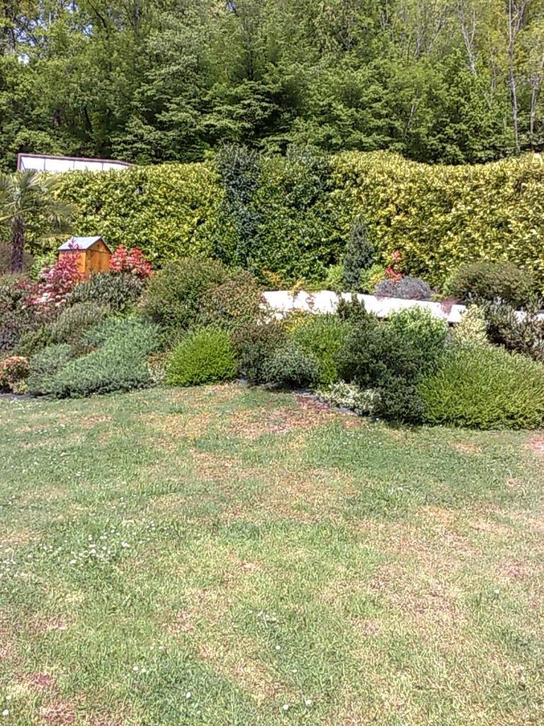 Villa CdF photo 4