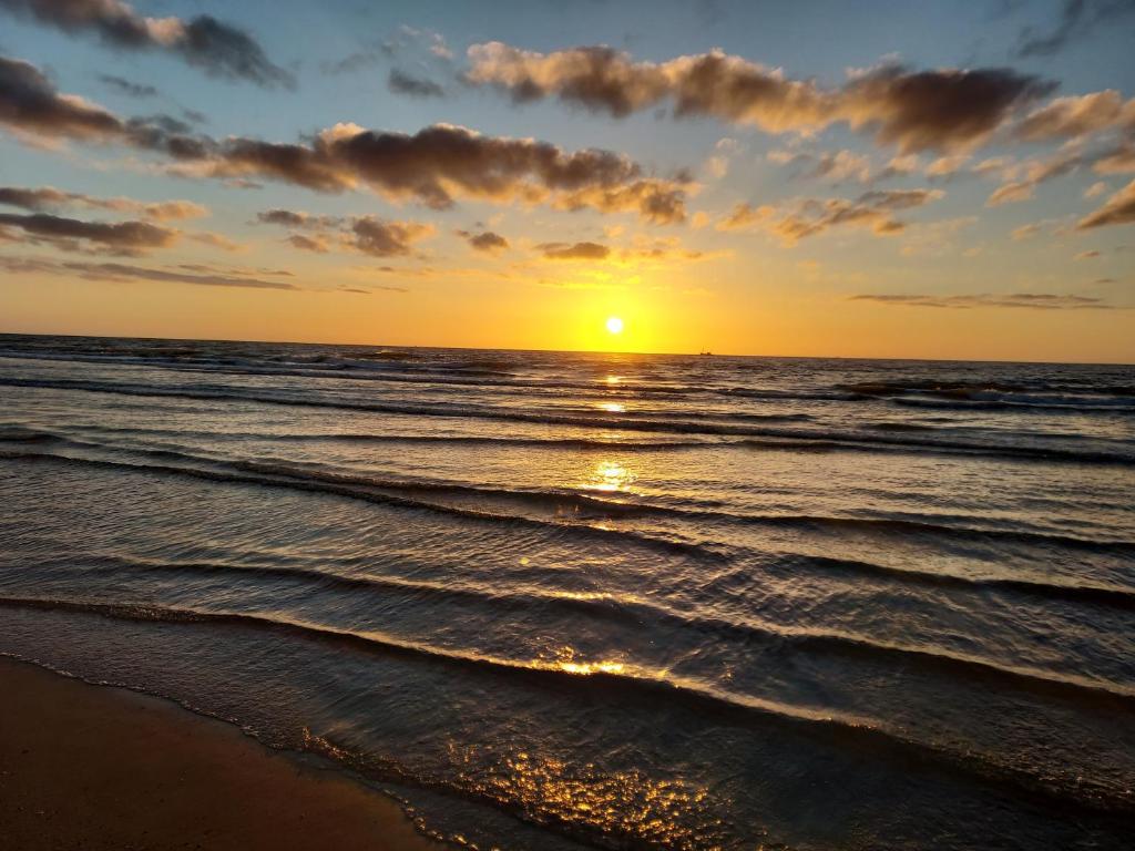 Uniek zeezicht Oostende photo 3