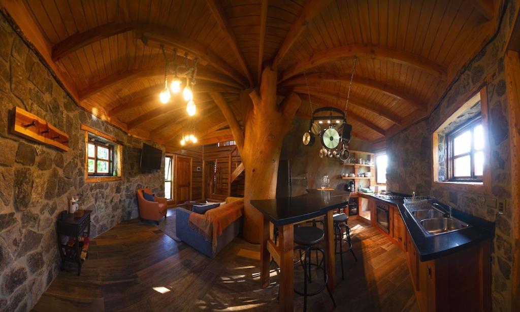 Encantadora Casa del Árbol en el Valle del Elqui! photo 1