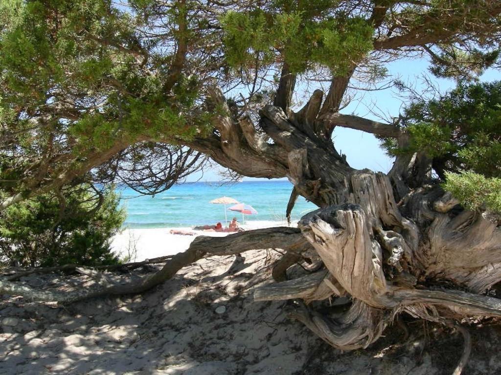 Residence con piscina a Tanaunella a 1500 m dal mare photo 2