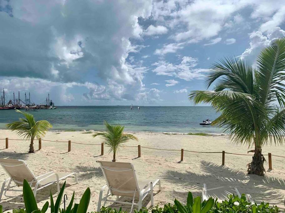 REEF Beachfront 3BDR apartment by CASA PARAISO photo 4