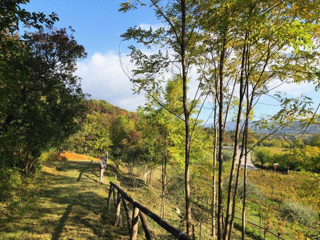 Agriturismo Ca' Cristane photo 2