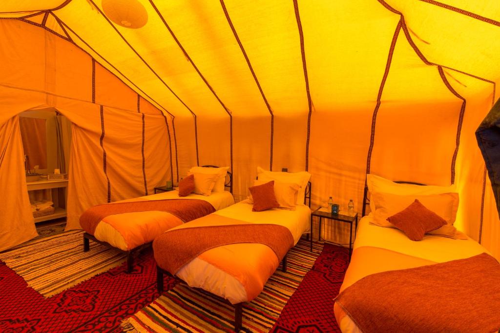 Luxury Bega Camp photo 1