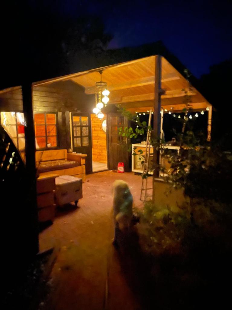 Hipsy-Gipsy saunalodge photo 4