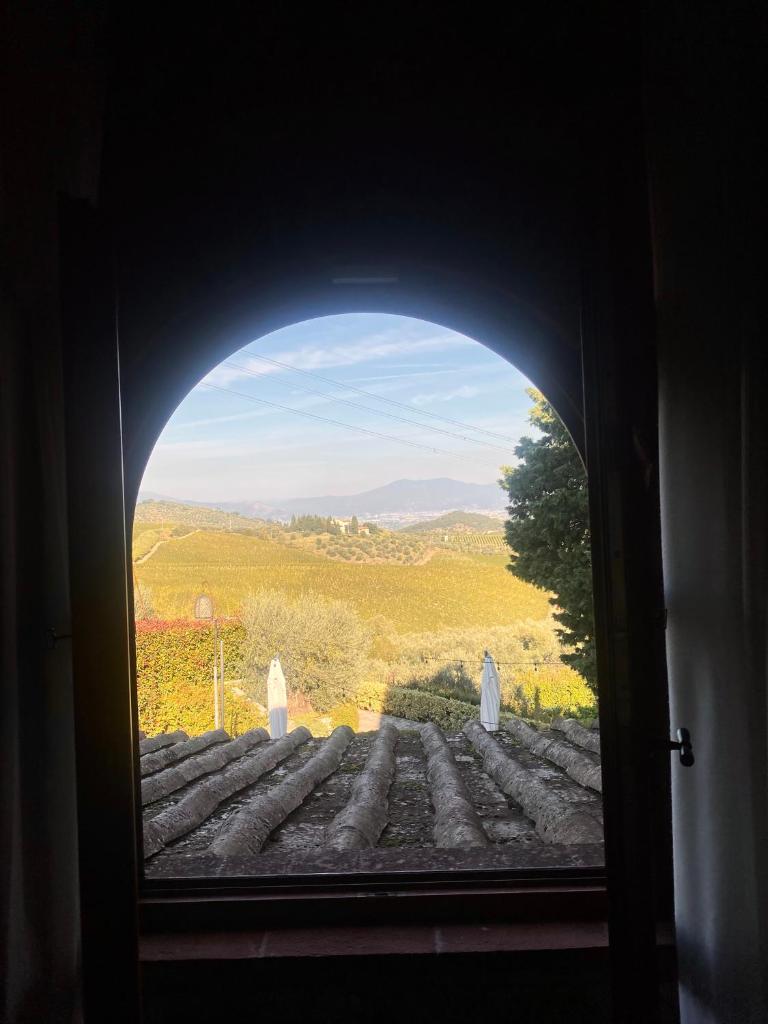 Room in BB - Room overlooking the vineyards and Florence photo 3