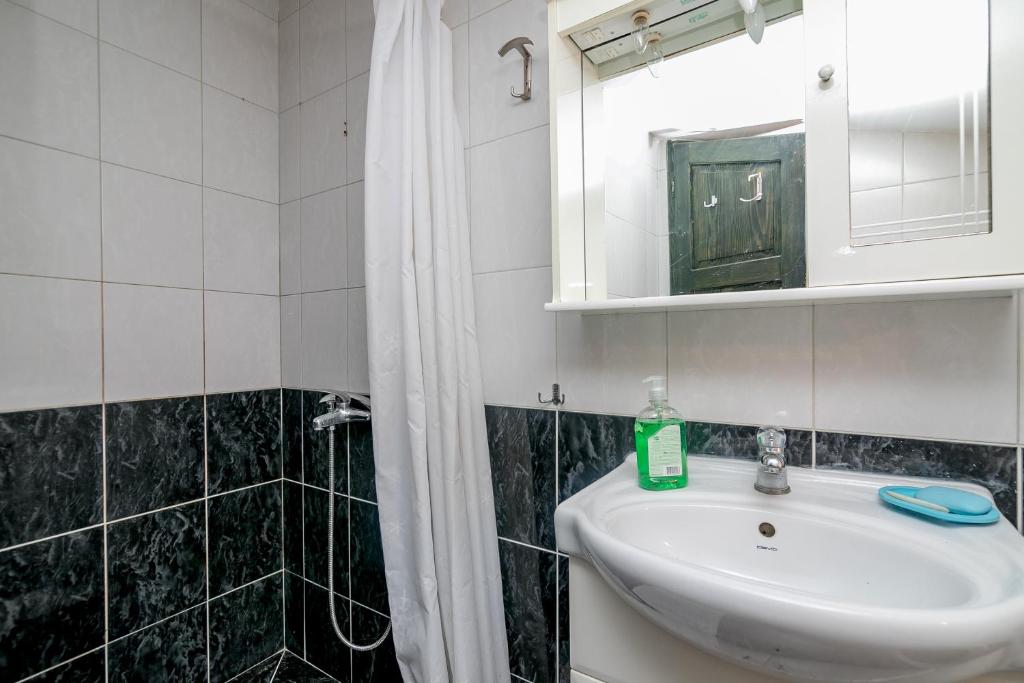 Apartment Majstorovic Topla photo 2